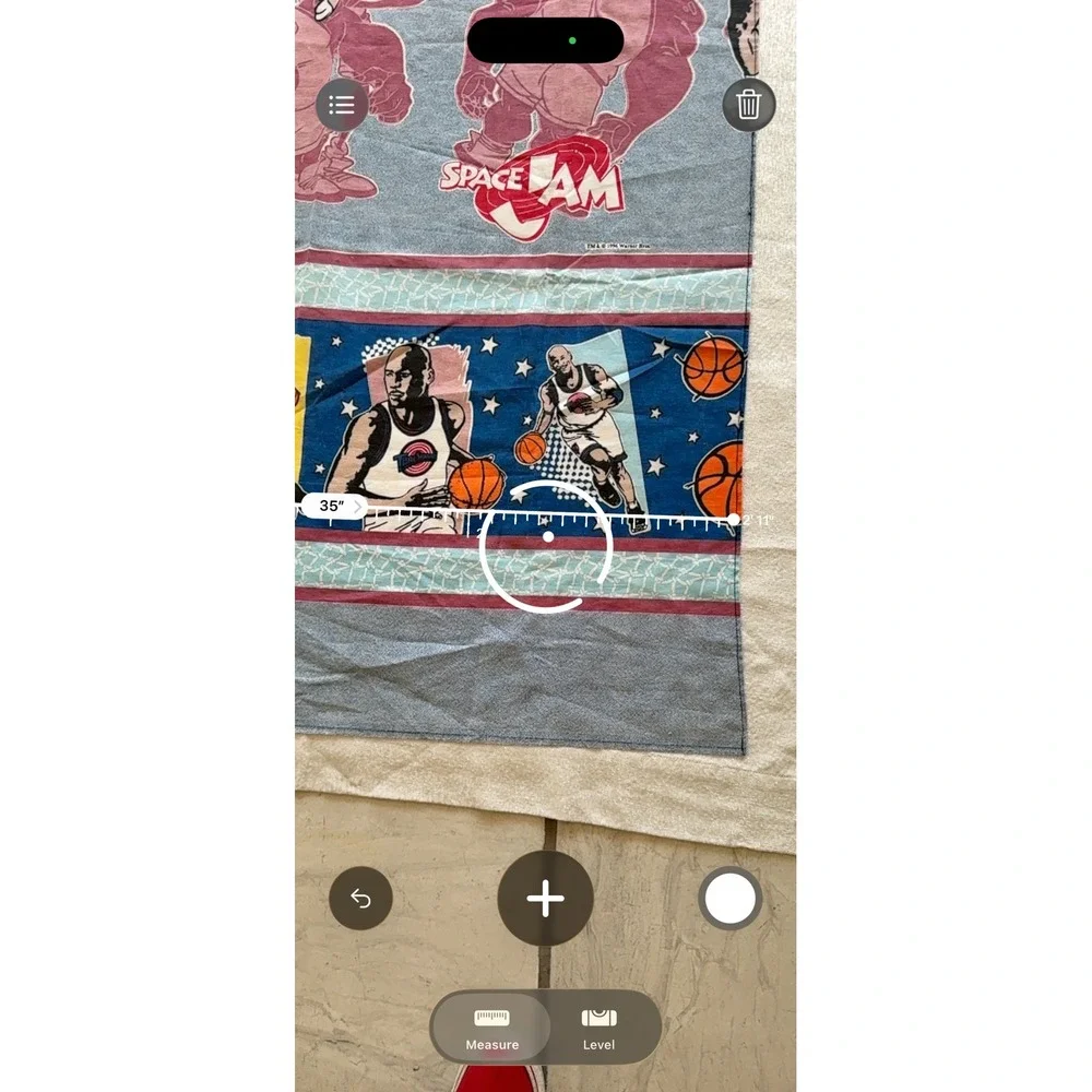 2pc Vintage 1996 Space Jam Curtain Panels Michael Jordan Looney Tunes 35x87